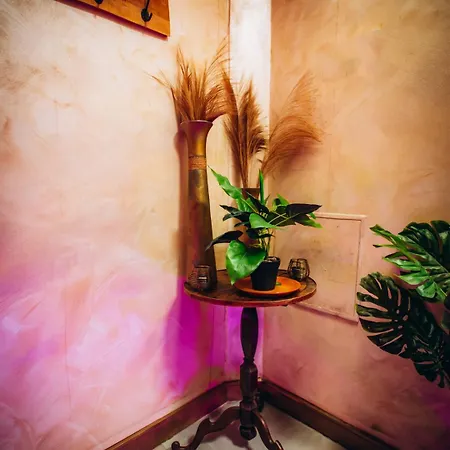 Casa Di Vibes - Jacuzzi - Sauna * Saint-Maur-des-Fossés